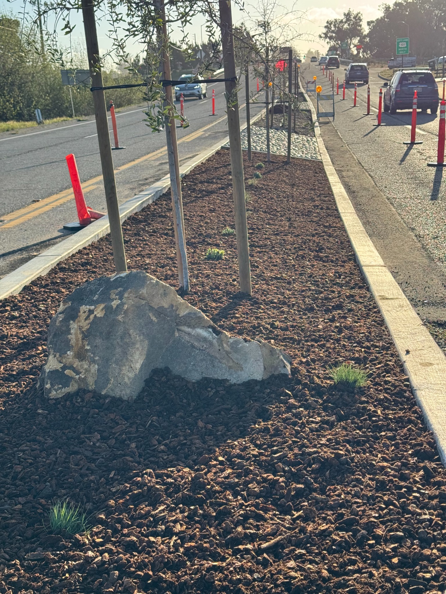 Commercial Median Installation